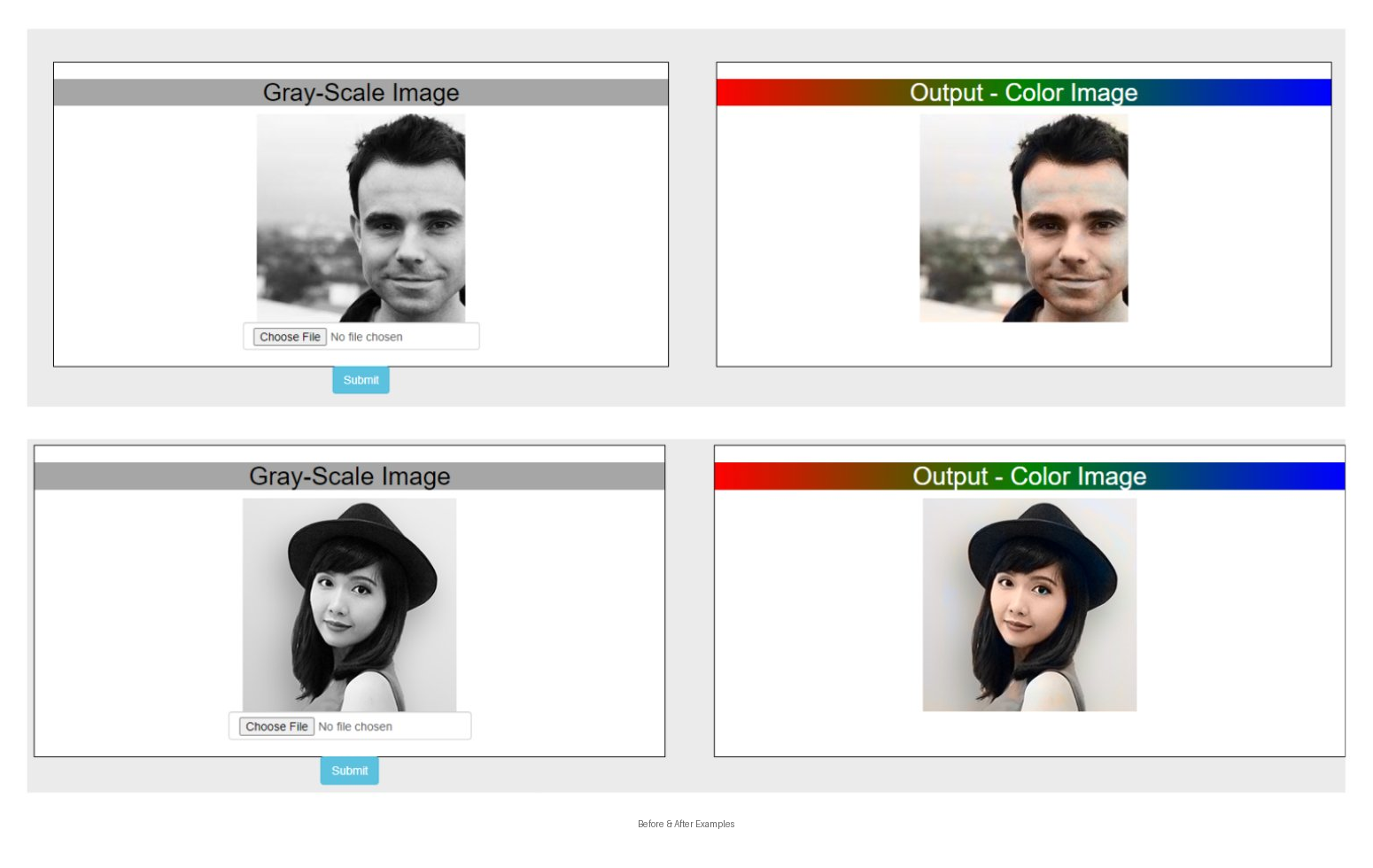 Grayscale Image Colorizer — main view